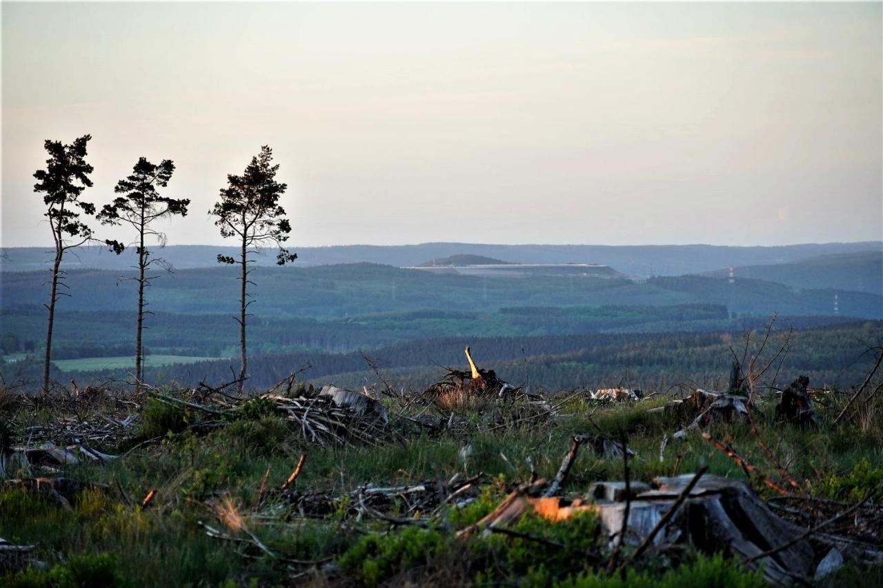 "Petite Perle En Haute Ardenne" Avec Vue Sur La Vallee, Cabine Infra-Rouge Et Bain Balneo Lierneux Bagian luar foto